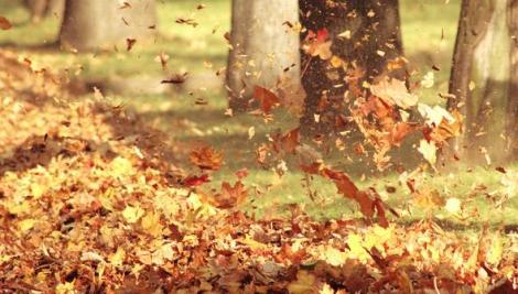Noi informaţii de la meteorologi. Ce se întâmplă cu vremea în acest weekend