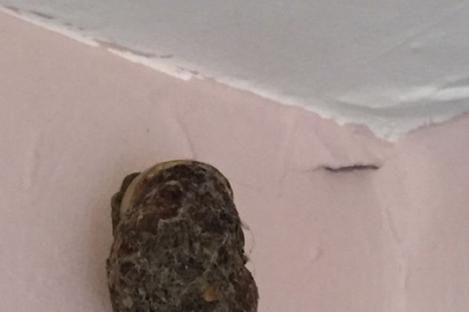Mamă șocată după ce a descoperit un obiect BIZAR în dormitorul copiilor! „Ajutor!”