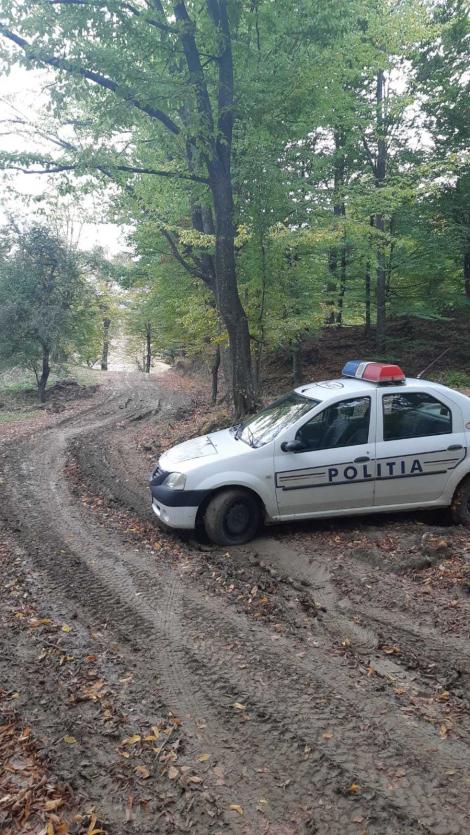 Vaslui: Doi fraţi, căutaţi după ce au plecat sâmbătă seară de la stâna tatălui lor şi nu s-au mai întors