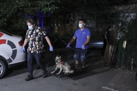 Primele imagini de la locuința lui Costin Mărculescu! Câinele lui a fost scos din apartament. Noi detalii cutremurătoare ies la iveală! FOTO