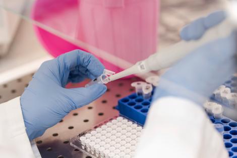 Coronavirus în România, 4 iunie 2020. Live Update. Crește numărul deceselor provocate de coronavirus în România. Anunțul de ultimă oră făcut de autorități