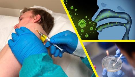 A apărut o nouă formă de coronavirus și medicii sunt în alertă! Ce este diferit la noua tulpină