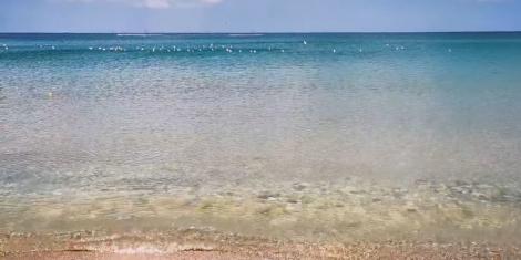 Imagini spectaculoase de pe litoralul românesc. Cum arată Marea Neagră iarna, la Eforie: „Mă surprinde să văd altceva” | VIDEO