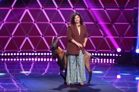 Finala iUmor, sezonul 12. Maria Popovici, momentul inedit de stand-up, însoțită de un țap. Reacția juraților iUmor