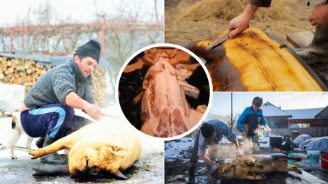 O familie de români a tranșat porcul în mijlocul sufrageriei. Imaginile care au devenit virale înainte de Sărbători