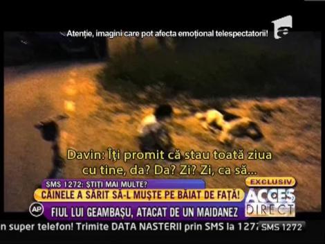 Davin, fiul Calin Geambasu, atacat de un maidanez