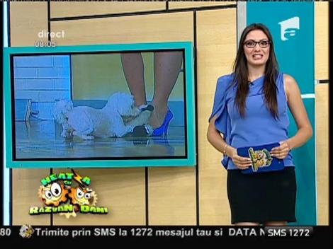 Atenție, nativi din Balanță: Trebuie să tratați familia și treburile domestice cu mai multă seriozitate! Previziunile zilei, cu Amalia!